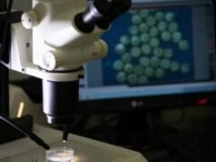 Em estudo, medicamento faz câncer desaparecer de todos os pacientes