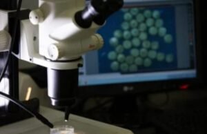 Em estudo, medicamento faz câncer desaparecer de todos os pacientes