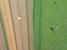 CAC é preso após atirar na nádega da própria filha no Distrito Federal