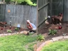 Casal chega de viagem e encontra cão com sinais de maus-tratos em casa