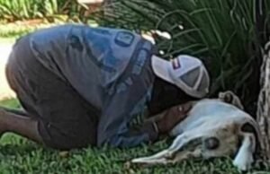 Foto de homem em situação de rua chorando após morte de cão comove web